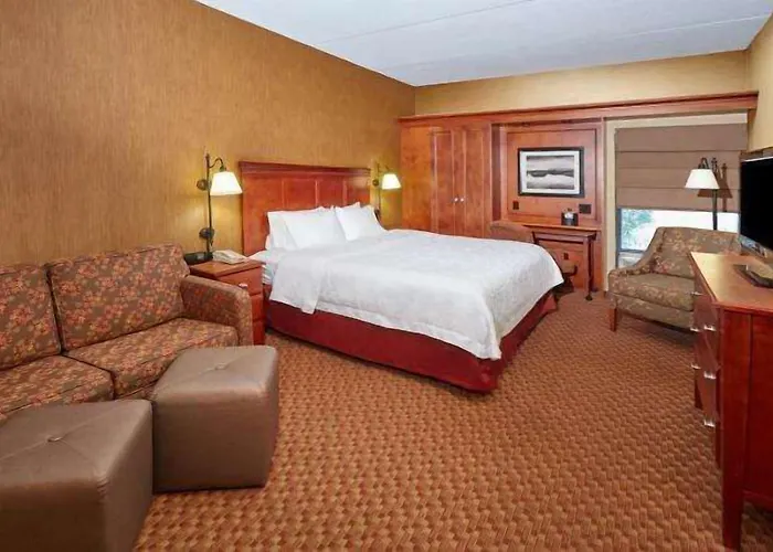 Hotel Hampton 3*