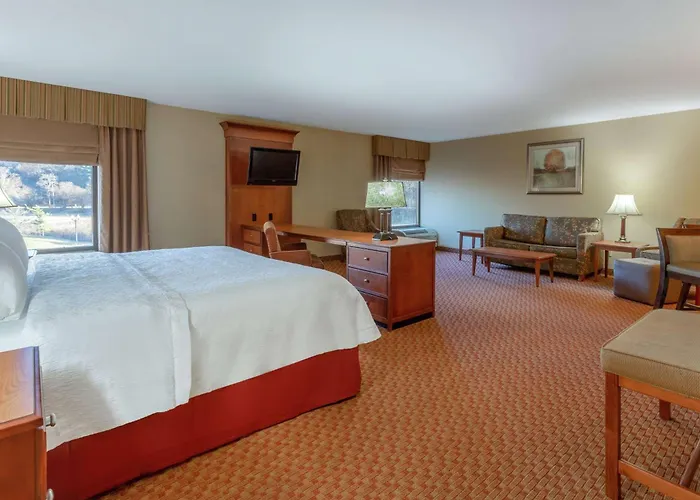 Hotel Hampton 3*