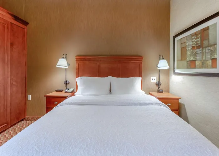 Hotel Hampton 3*