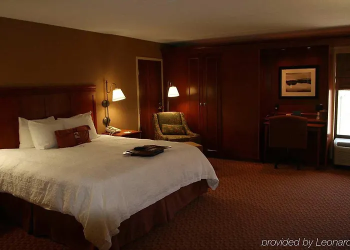 Hotel Hampton 3*